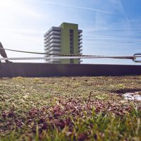 Horizontales Seilsicherungssystem ALTILIGNE bei VERTIC auf grünem Dach