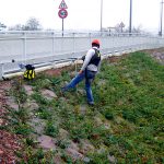 Horizontales Schienensystem ALTIRAIL bei VERTIC