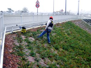 Horizontales Schienensystem ALTIRAIL bei VERTIC